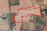 8696 SQM Plot in Agioi Trimithias (Nicosia) for sale 