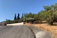 4348 SQM Land · Mesogi (Paphos) for sale 