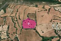 11288 SQM Land in Kato Akourdalia (Paphos) for sale 