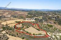 29098 SQM Land in Drynia (Paphos) for sale 