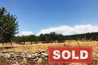 Studio Detached house in Souni Zanakia (Limassol) for sale 