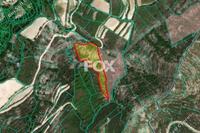13379 SQM Land · Koilani (Limassol) for sale 