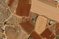 826 SQM Land in Frenaros (Famagusta) for sale 