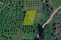1693 SQM Land in Kornos (Larnaca) for sale 