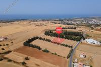4813 SQM Land in Kouklia Pafou (Paphos) for sale 