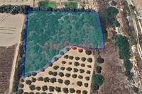 4002 SQM Land in Potamos Germasogeias (Limassol) for sale 