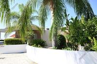 3 Bedroom Bungalow · Mesa Chorio (Paphos) for sale 