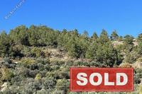 8613 SQM Land in Palaichori Oreinis (Nicosia) for sale 