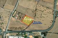 5918 SQM Land in Nisou (Nicosia) for sale 