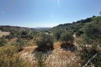 1649 SQM Land in Tsada (Paphos) for sale 