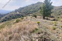 5695 SQM Land · Vavatsinia (Larnaca) for sale 