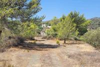 11790 SQM Land · Vasa Kellakiou (Limassol) for sale 
