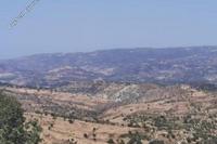 5352 SQM Land in Statos Agios Fotios (Paphos) for sale 
