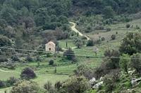 60000 SQM Land in Prastio (Paphos) for sale 