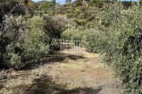 28429 SQM Land · Vavatsinia (Larnaca) for sale 