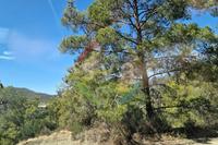 25350 SQM Land in Agios Mamas (Limassol) for sale 