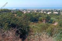 5686 SQM Plot in Chlorakas (Paphos) for sale 