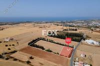 4000 SQM Land · Kouklia Pafou (Paphos) for sale 
