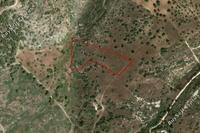 14047 SQM Land in Neo Chorio (Paphos) for sale 