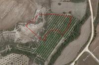 7693 SQM Land · Poli Chrysochous (Paphos) for sale 