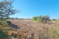 2007 SQM Land in Kathikas (Paphos) for sale 