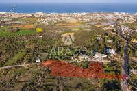 6954 SQM Land · Pernera (Famagusta) for sale 