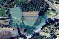 3982 SQM Land in Paramytha (Limassol) for sale 