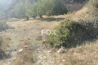 3345 SQM Land in Tsirion (Limassol) for sale 