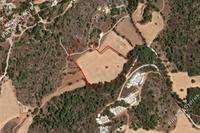 22910 SQM Land in Lysos (Paphos) for sale 