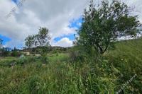 11706 SQM Land · Drynia (Paphos) for sale 