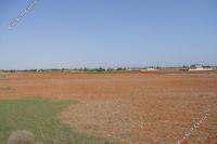 16587 SQM Plot in Frenaros (Famagusta) for sale 