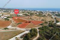 12890 SQM Land · Ayia Napa (Famagusta) for sale 