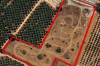 18500 SQM Plot in Tsiflikoudia (Limassol) for sale 