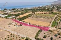 5519 SQM Land in Argaka (Paphos) for sale 