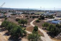 3011 SQM Land in Peyia (Paphos) for sale 