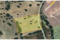 7358 SQM Land in Mazotos (Larnaca) for sale 