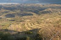7024 SQM Land in Pachna (Limassol) for sale 
