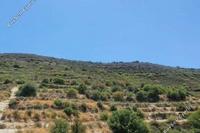 6358 SQM Land in Pachna (Limassol) for sale 