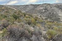 2007 SQM Land · Kato Drys (Larnaca) for sale 