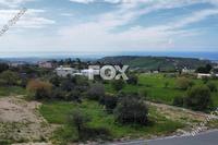 828 SQM Plot in Armou (Paphos) for sale 
