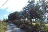 16723 SQM Land in Drynia (Paphos) for sale 