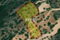 5352 SQM Land · Neo Chorio (Paphos) for sale 