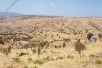 16093 SQM Land in Pentalia (Paphos) for sale 