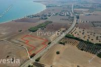 8224 SQM Land in Mazotos (Larnaca) for sale 