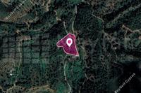 7358 SQM Land in Kampos (Nicosia) for sale 