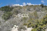 28094 SQM Land · Agios Therapon (Limassol) for sale 