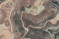 18893 SQM Land · Arsos Lemesou (Limassol) for sale 