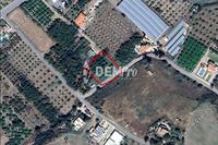 1630 SQM Land in Argaka (Paphos) for sale 