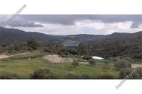 14717 SQM Land in Fasoula Lemesou (Limassol) for sale 