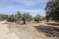 1793 SQM Land · Strovolos (Nicosia) for sale 